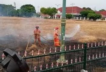 Rumput Kering Alun-Alun Utara  Sebelah Barat Terbakar